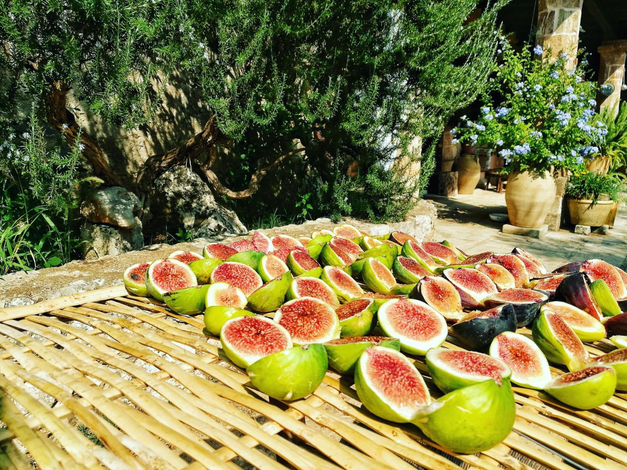 Masseria Borgo Del Gallo Tricase Exterior photo